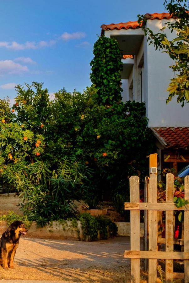 Vineyard Country House With Panoramic Seaview Alexandroupoli Exterior photo