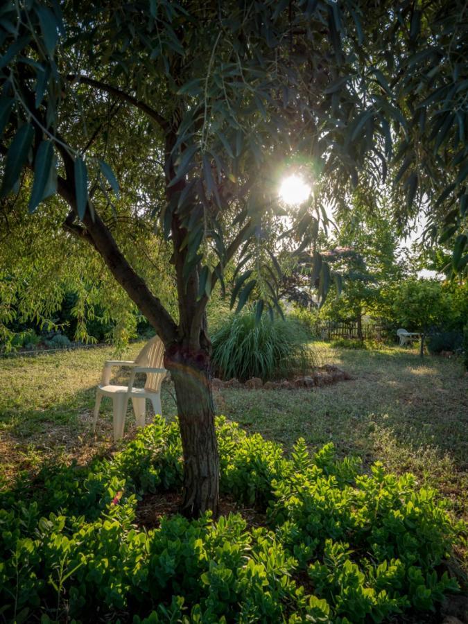 Vineyard Country House With Panoramic Seaview Alexandroupoli Exterior photo