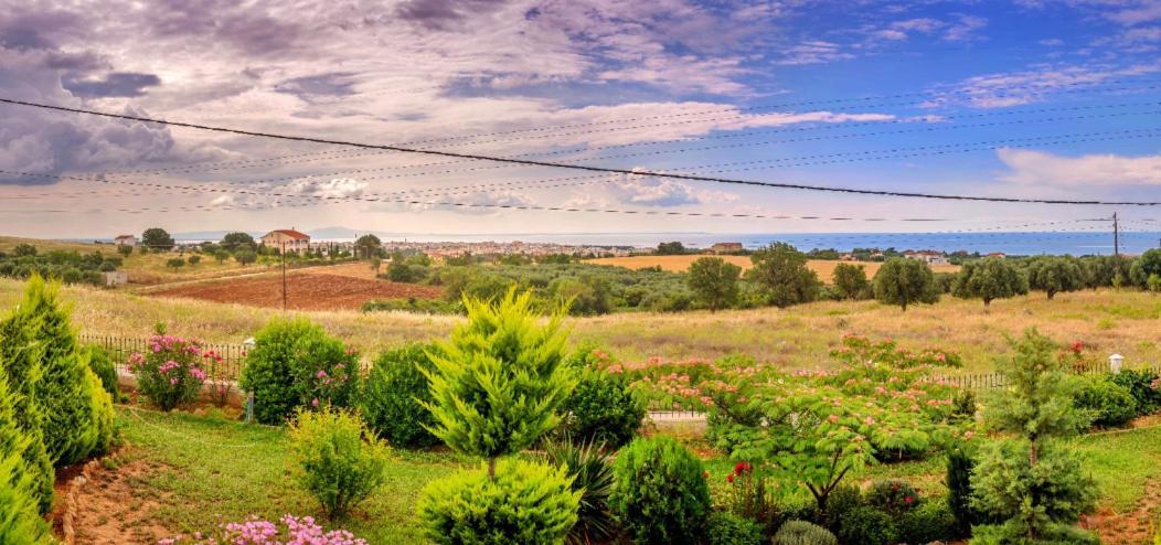 Vineyard Country House With Panoramic Seaview Alexandroupoli Exterior photo