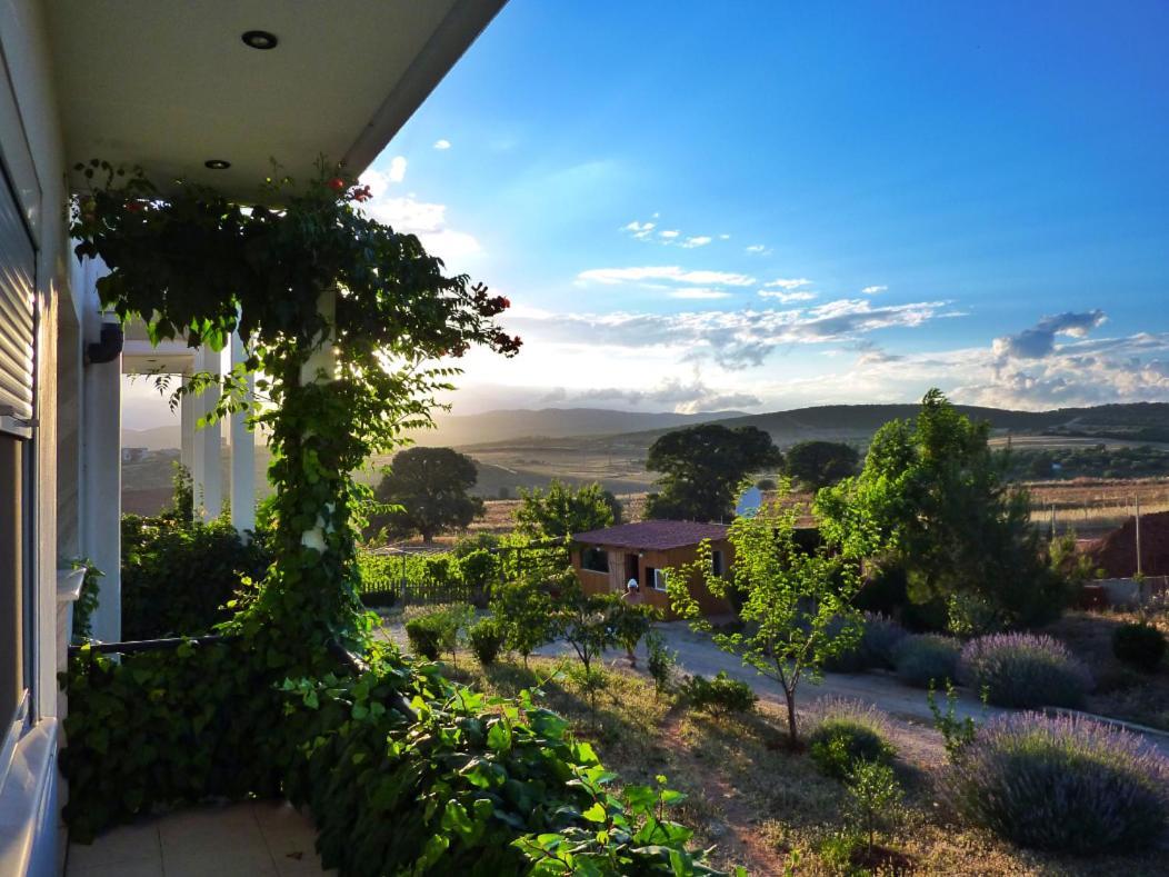 Vineyard Country House With Panoramic Seaview Alexandroupoli Exterior photo